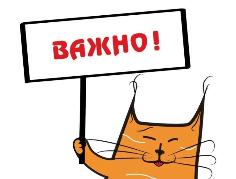 «Служба защиты призывников» переезжает в новый офис
